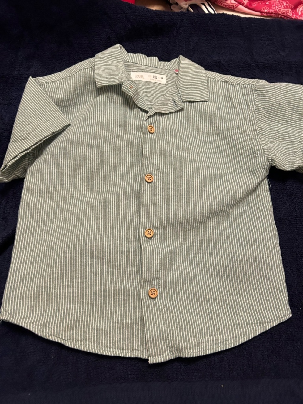 Zara Green Pinstripe Short-Sleeve Button-Down Shirt